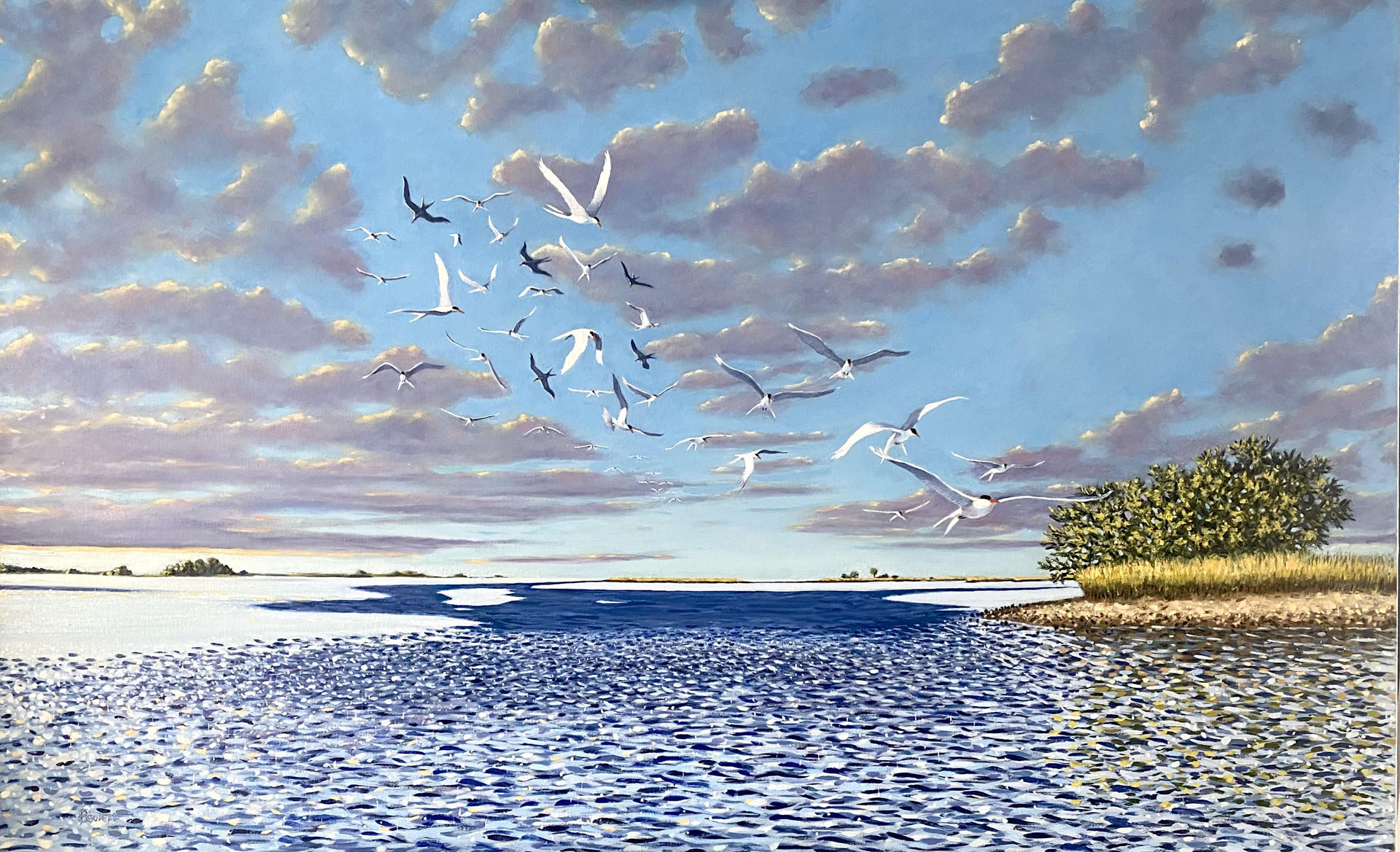 Terns Over the North Channel (Cedar Key, FL) 
